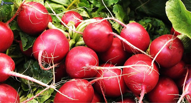 1707357024 936 All Low Calorie Foods All Low-Calorie Foods