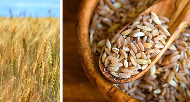 1707357030 394 All Low Calorie Foods All Low-Calorie Foods