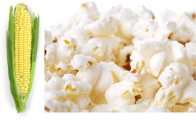 1707357033 657 All Low Calorie Foods All Low-Calorie Foods