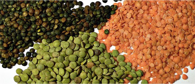 1707357042 597 All Low Calorie Foods All Low-Calorie Foods