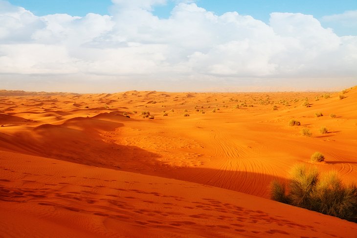 Top Tourist Attractions in the United Arab Emirates 12 Top Tourist Attractions in the United Arab Emirates 1707455354 800 Top Tourist Attractions in the United Arab Emirates Top Tourist Attractions in the United Arab Emirates