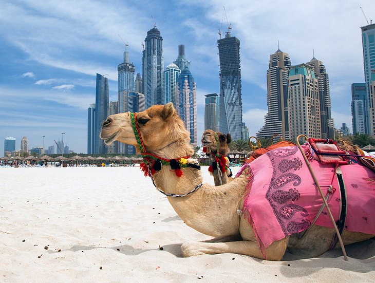 Top Tourist Attractions in the United Arab Emirates 13 Top Tourist Attractions in the United Arab Emirates 1707455355 638 Top Tourist Attractions in the United Arab Emirates Top Tourist Attractions in the United Arab Emirates