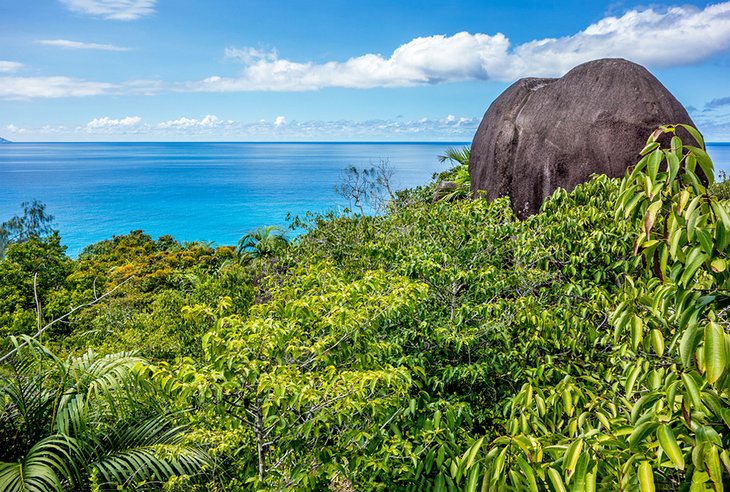 1707507165 175 Top Tourist Attractions in the Seychelles Top Tourist Attractions in the Seychelles