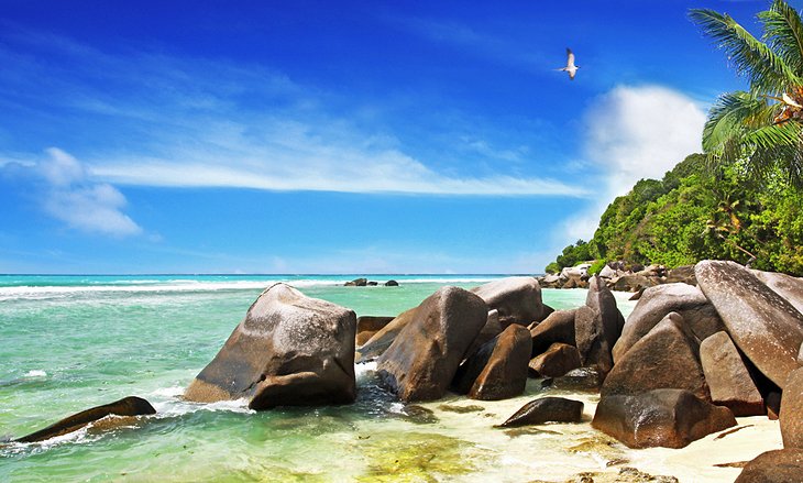 1707507184 696 Top Tourist Attractions in the Seychelles Top Tourist Attractions in the Seychelles