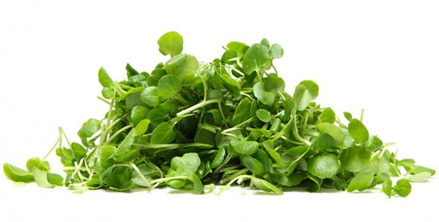 All Low Calorie Foods All Low-Calorie Foods