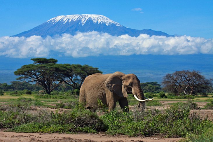 Top Tourist Attractions in Tanzania Top Tourist Attractions in Tanzania