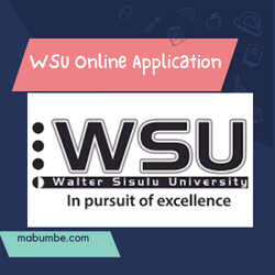WSU Online Application Admission System WSU Online Application (Admission System)