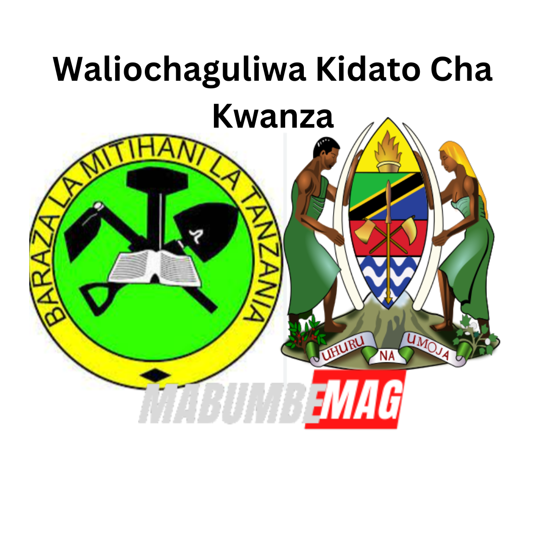 Waliochaguliwa Kidato Cha Kwanza 2024 PDF List 2 Waliochaguliwa Kidato Cha Kwanza 2024 PDF List Waliochaguliwa Kidato Cha Kwanza