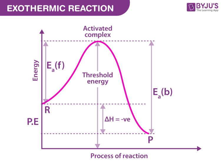 activation energy Enzymes, digestive enzyme