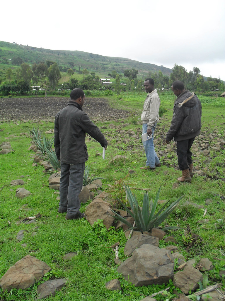 ambo university Admission: Ambo University Online Application Form