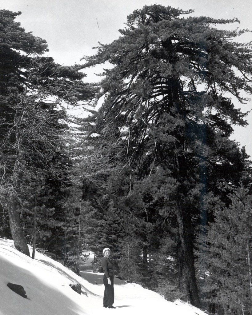 b sure independent B-Sure Independent School online Application, Courses, fees, Contacts