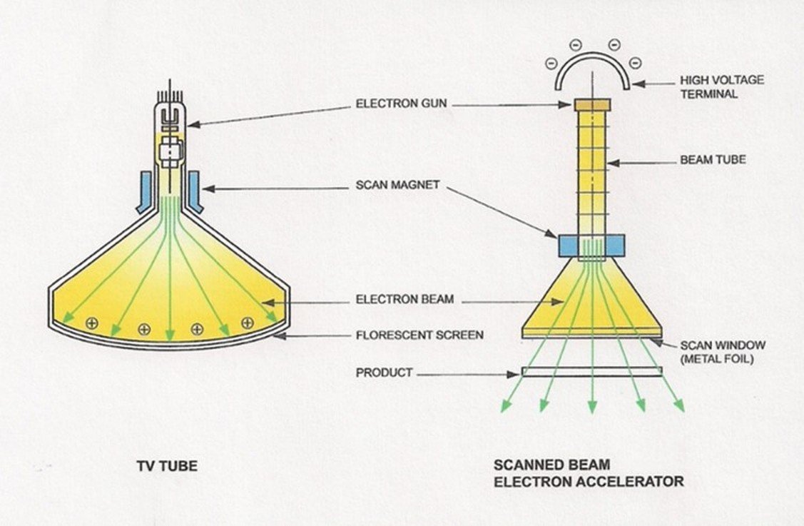beam electrons microscope, light microscope, compound microscope