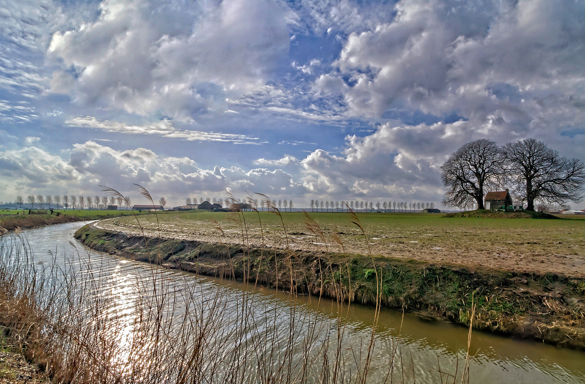 betting M Bet Tanzania: Bet and Win Big!