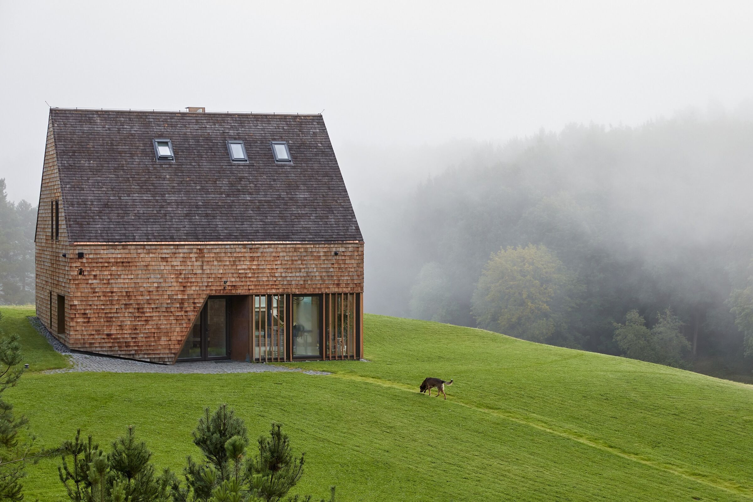 cedar house Cedar House School online Application, Courses, fees, Contacts