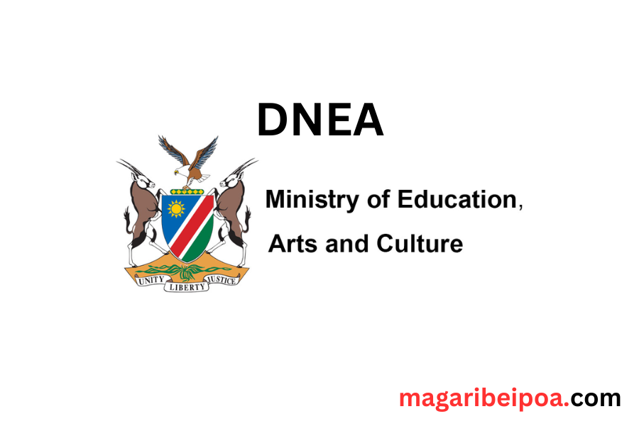 dnea DNEA Exam results 2023/2024 – DNEA Namibia Results