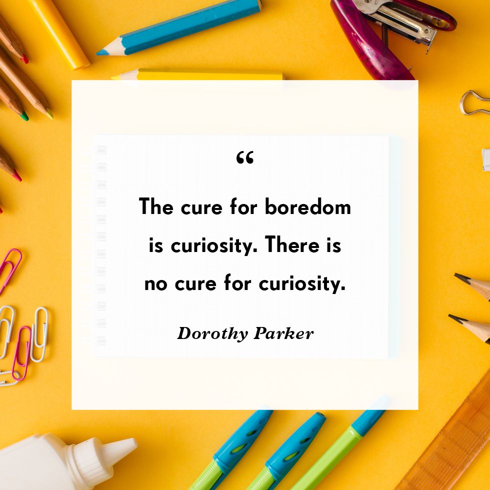 education short Executive Education (Short Learning Programmes) – Unisa, University of South Africa