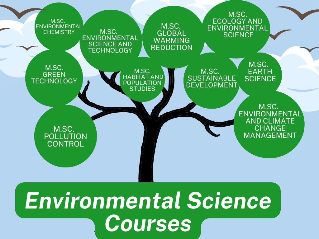 environmental science NEW: WSP Bursaries | WSP Bursary