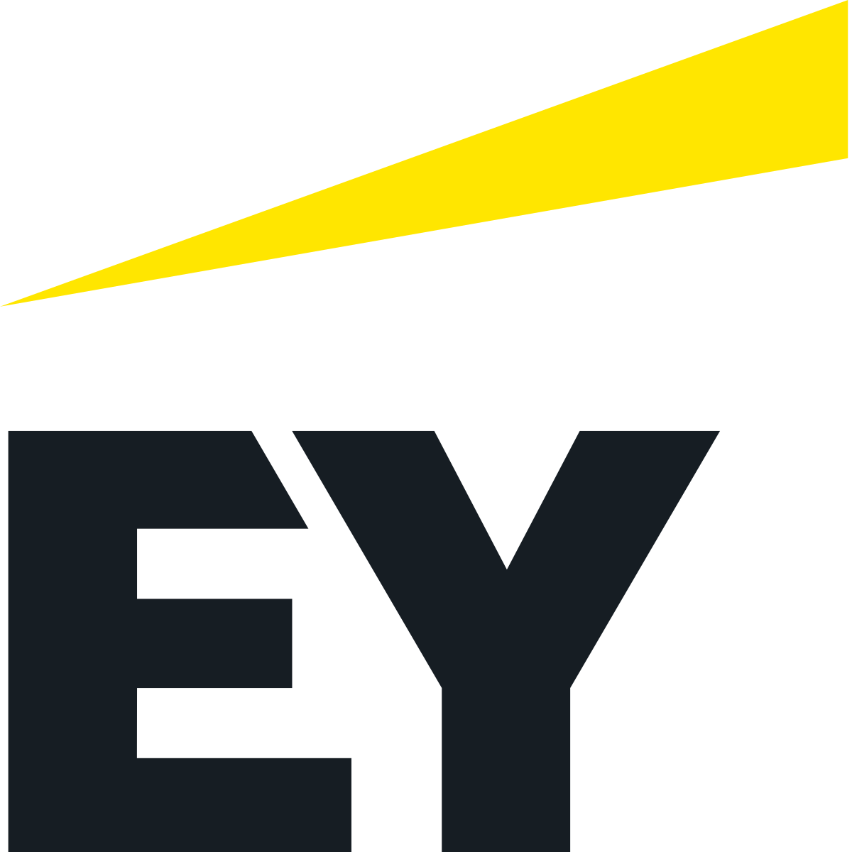 ernst young Ernst and Young Bursaries, Accounting and Financial
