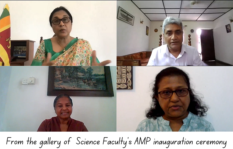 faculty amp Library – Faculty & staff – Unisa, University of South Africa