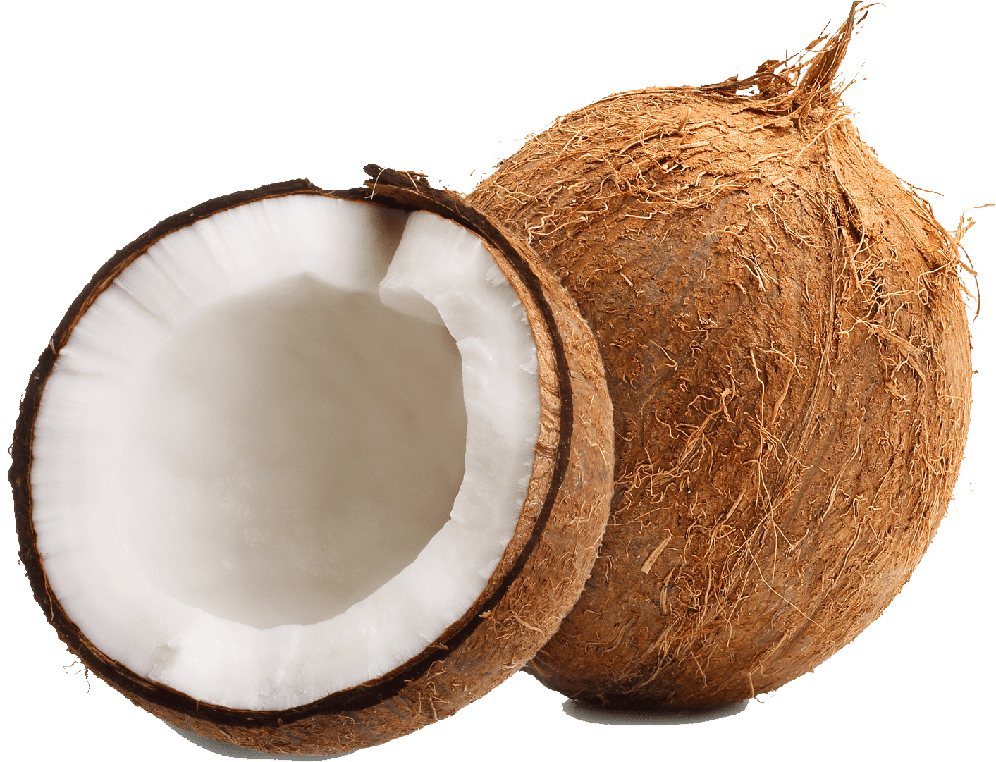 fresh coconut Acidic food and alkalinizing food list