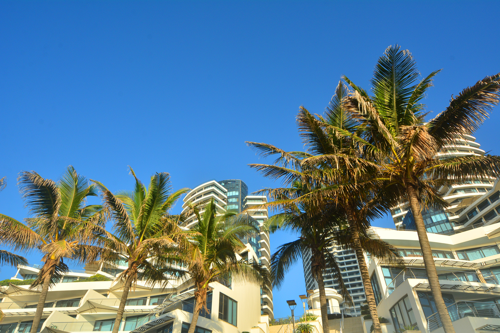 la lucia 1 Crawford Preparatory La Lucia online Application, Courses, fees, Contacts