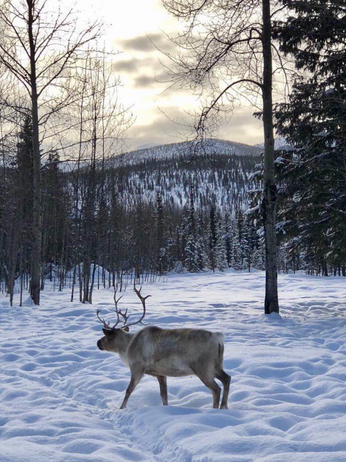 muslim university MUM admission 2023/2024 | Muslim University of Morogoro