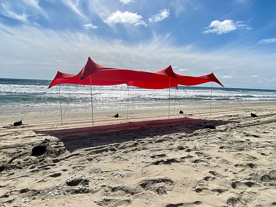 neso country Orange Tulip Scholarship at Maastricht University in the Netherlands 2021