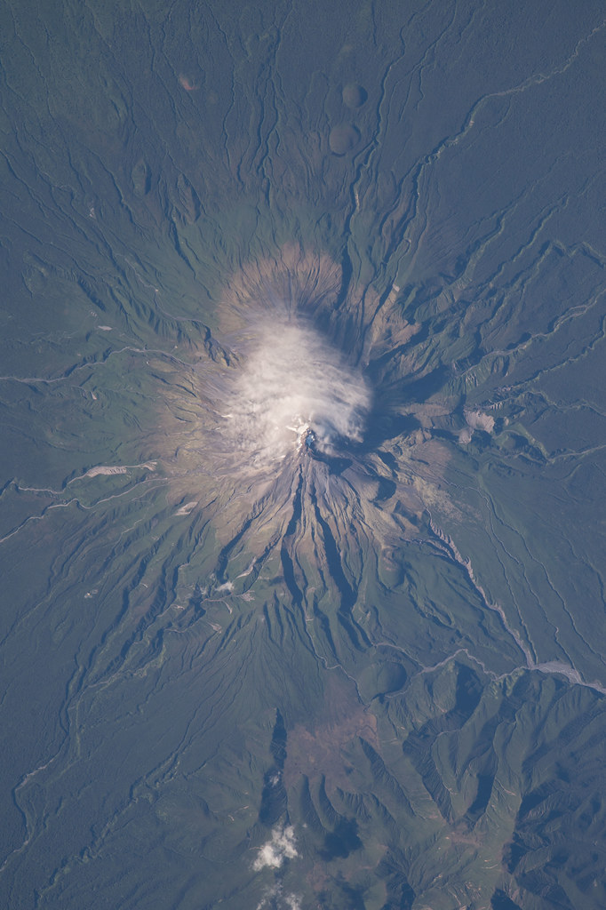 new zealand New Zealand Embassy High Commission in Tanzania