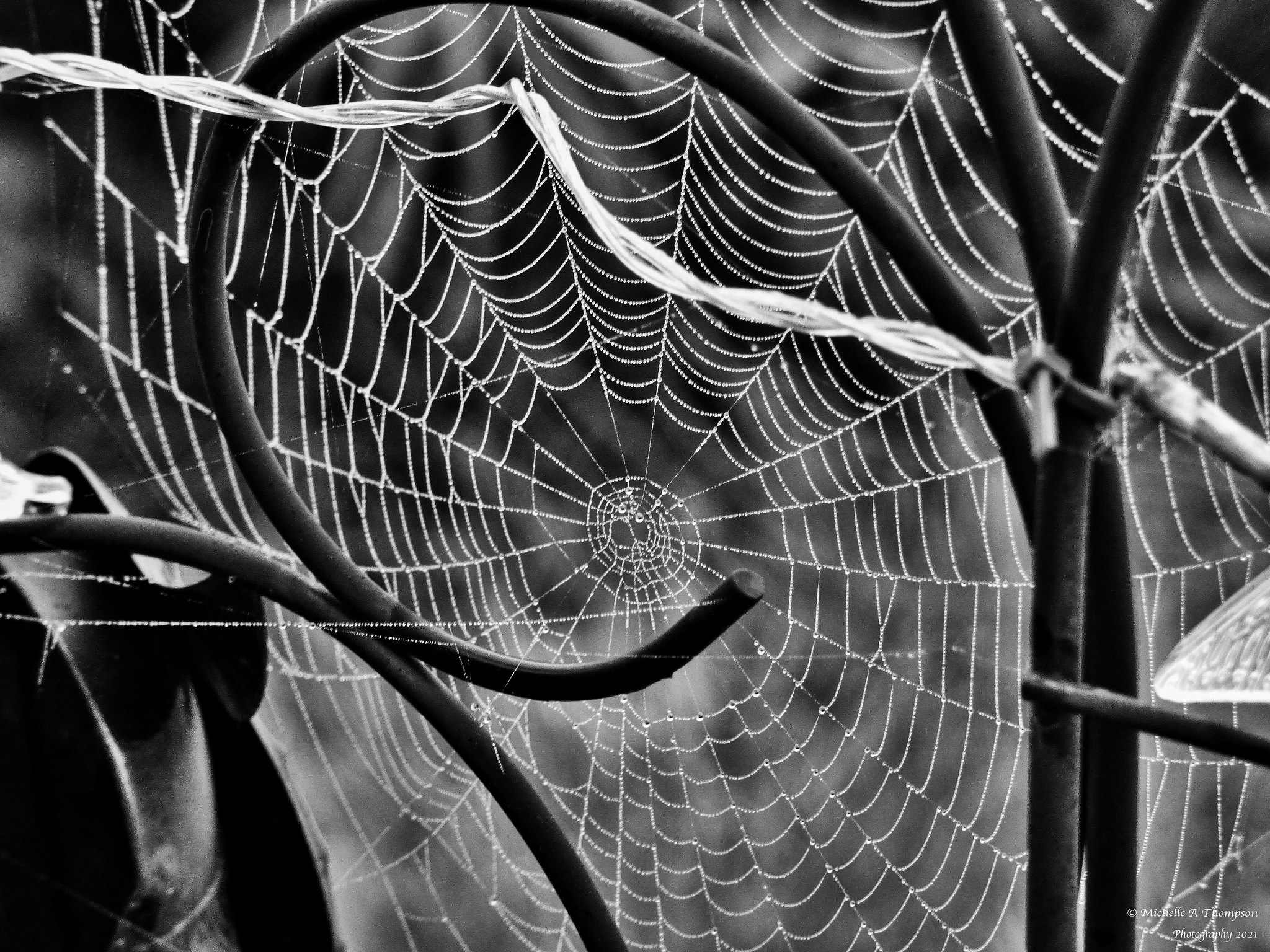 north west university 29 NWU American High School diploma, International Students – North-West University