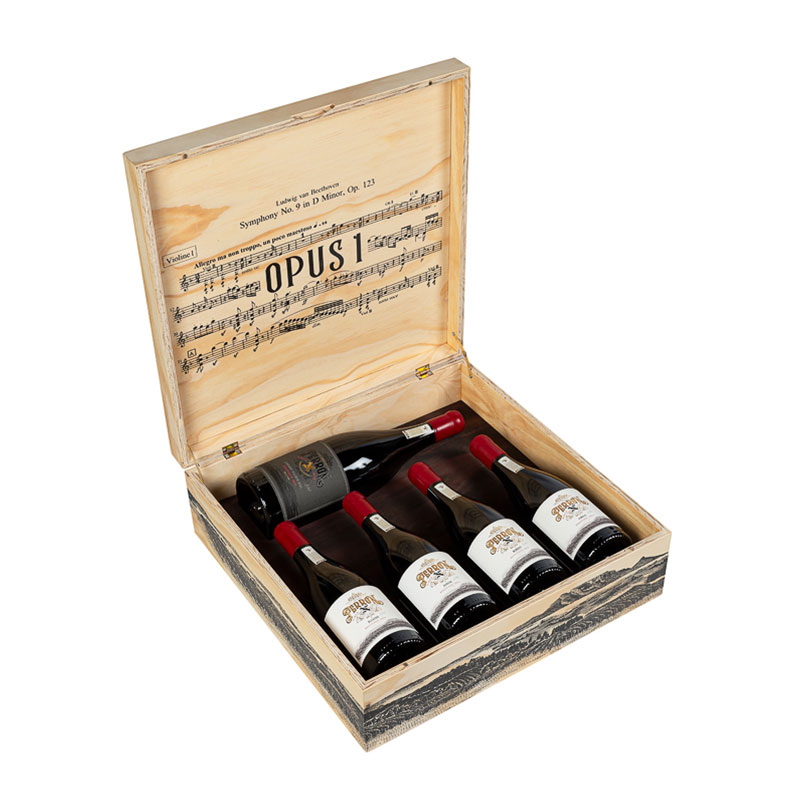 perron SASA Perron X Bursary South Africa 2023