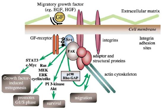 srcs role NWU SRCS role in the community – North-West University
