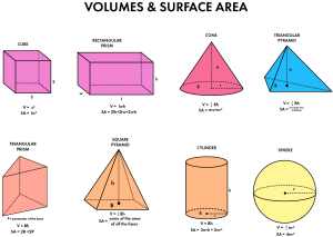 surface volume Gaseous Exchange In Organisms