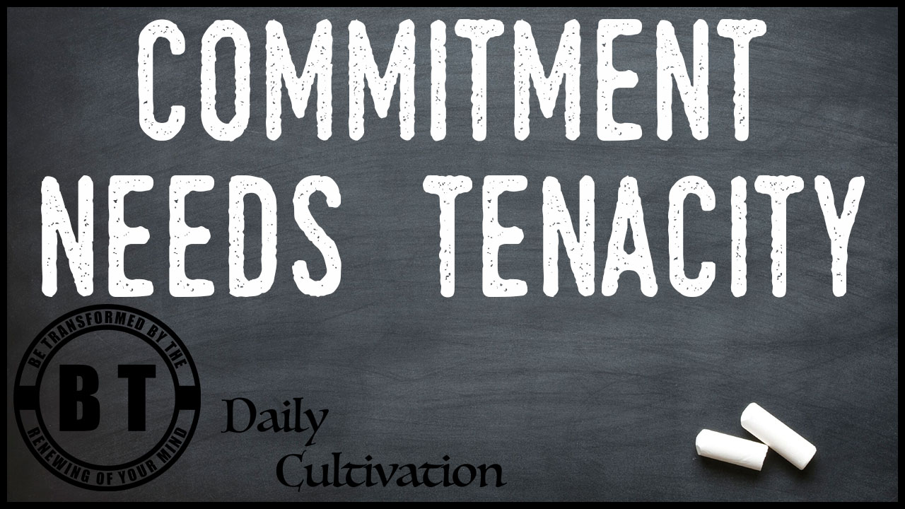 tenacity commitment Graduating shows tenacity and commitment to learning – Unisa, University of South Africa