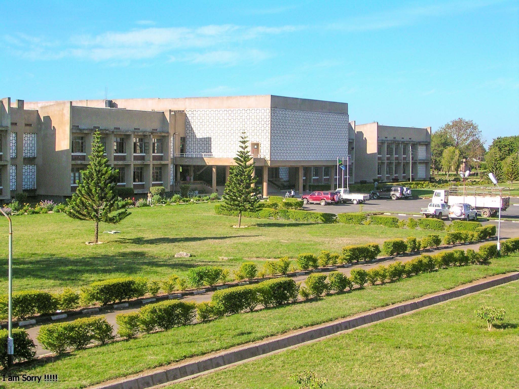 university mbeya Mzumbe University Mbeya Courses Offered